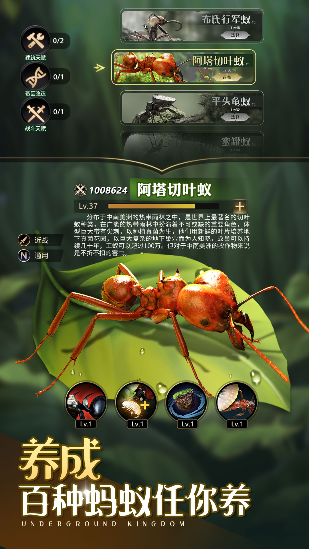 小小蚁国中文手机版